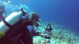 Use of Reef Hook   Palau   October 2014