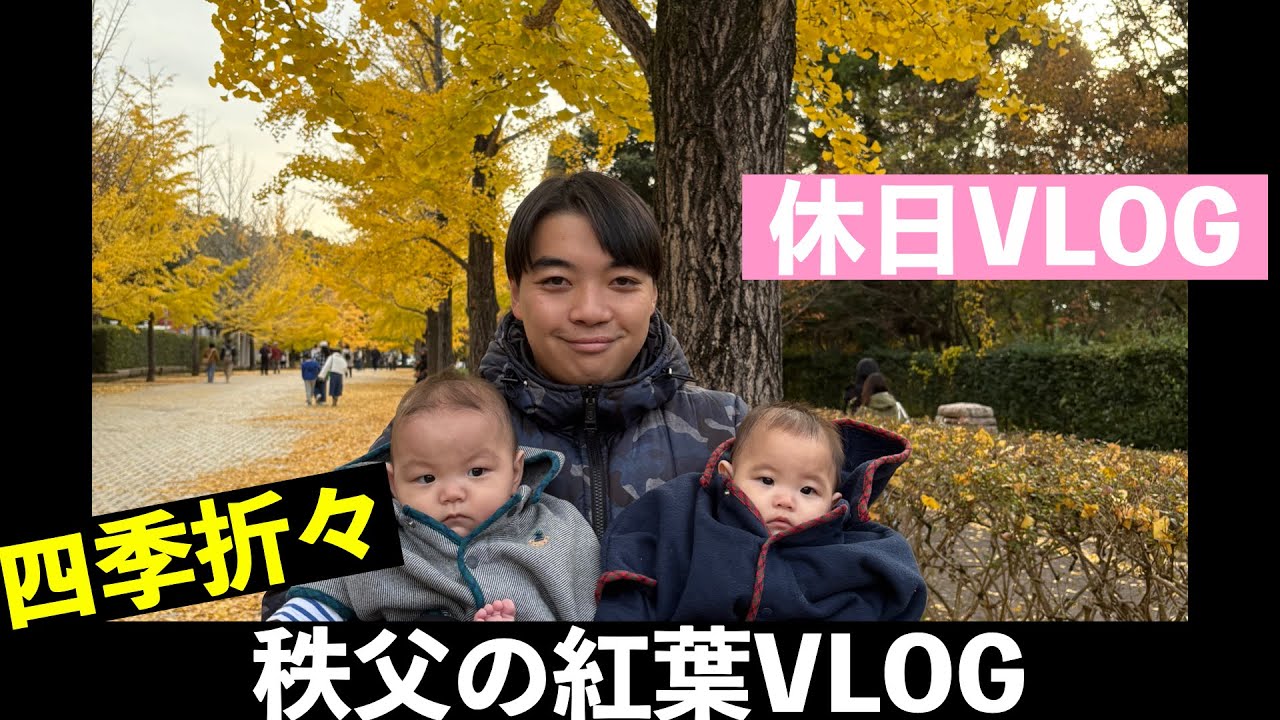 【双子VLOG】小児科医の僕が双子と紅葉を見に行った一日