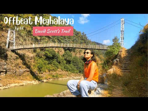 Video: Meghalaya's Mawphlang Sacred Forest: Rejseguide