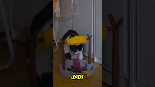 Mengs Random Antics Cosplay Chef Vs Childbirth In A Claw Machine  cutecat cat clawmachine