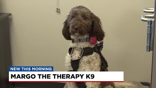 Mauldin Police's therapy dog gets re-certified