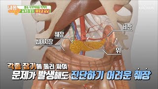 몸 속 깊은 사각지대 ‘췌장’ 진단하기가 어렵다?! [내 몸 사용설명서] 253회 20190524