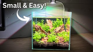 Beginner Nano Shrimp Tank? Easy No-Filter 2 gallon Setup!