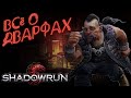 Метатип: Дварфы | Shadowrun