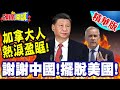 中國與加拿大之間的合作與支持