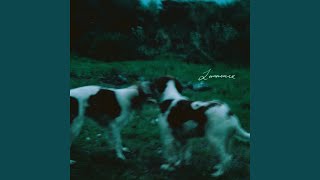 Limerence