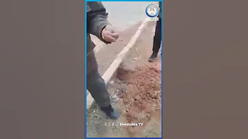مواطنون يعثرون على حبة ترفاس كبيرة بالمشرية 