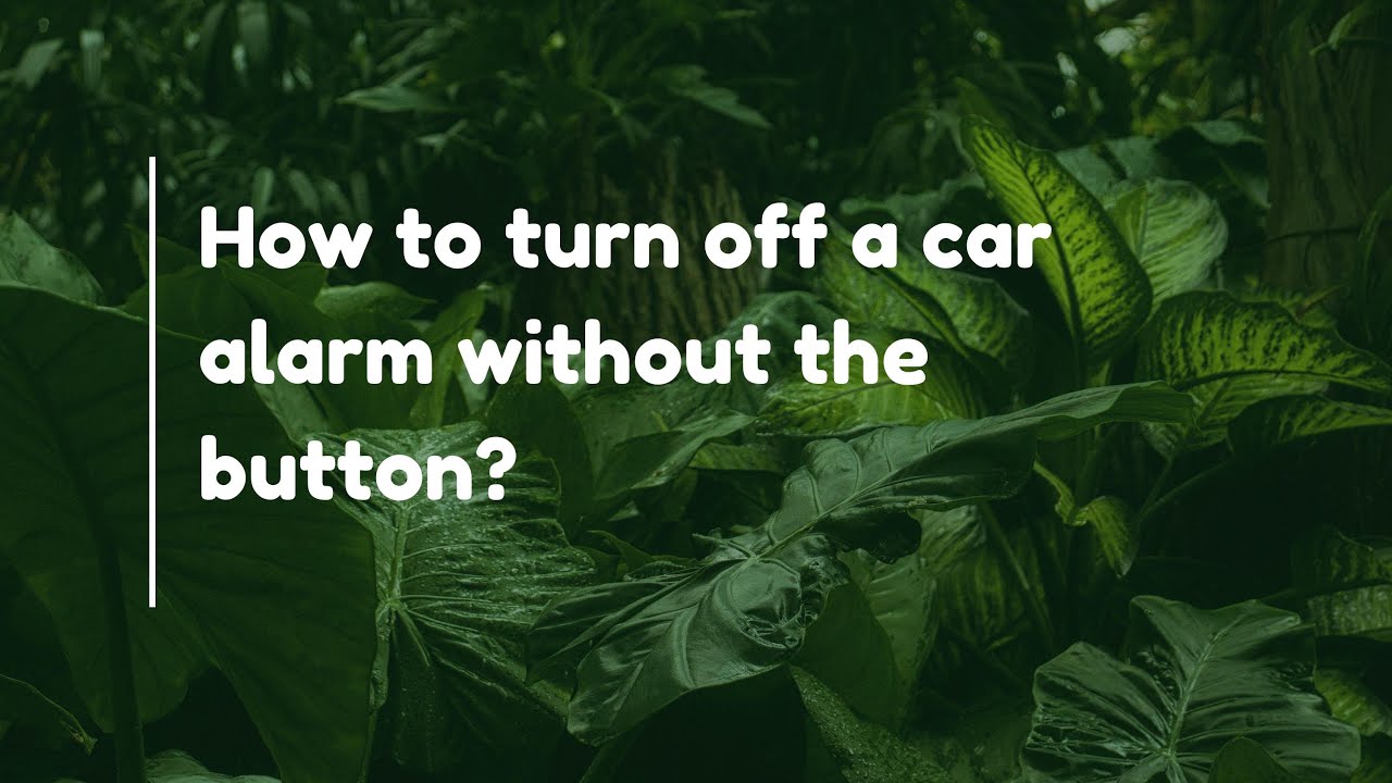 How to Set off Car Alarm: Quick and Effective Methods Revealed