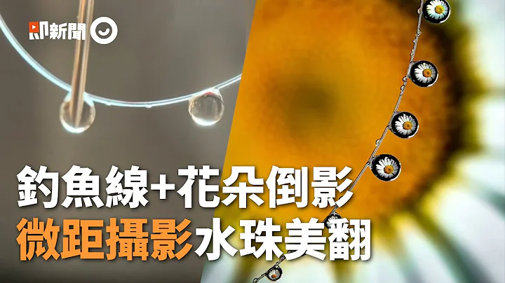 攝影師靠手機創作「液體藝術」 小水滴包覆花朵美翻｜照片｜微距鏡頭｜藝術 - 天天要聞