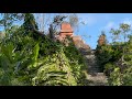 Zoológico de Ciudad de Guatemala, visita guiada 2,021 con reptiles 🐊