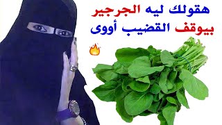 يشحنلك طاقتك 24 ساعة فوائد الجرجير