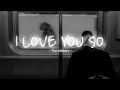 I love you so - The Walters [ Lyrics   Vietsub ]