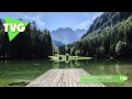 Hollow Coves - The Woods ( Ghosts Remix ) The Vibe Guide 