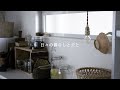 暮らしのvlog/ 初夏の暮らし/ ご報告🕊/ 犬と野鳥と暮らす