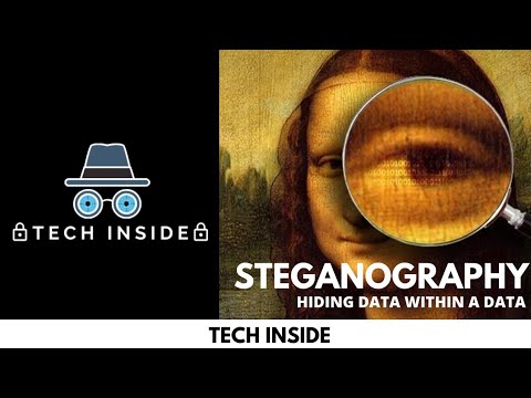 HIDING DATA WITHIN A IMAGE | STEGANOGRAPHY | KALI LINUX | CYBERSECURITY | ETHICAL HACKING