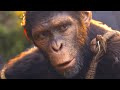 The ending of kingdom of the planet of the apes explained