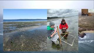 Bodega Marine Laboratory Seminar Series: Maya Groner