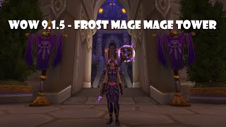 WoW - 9.1.5 Frost Mage Mage Tower (No sockets, enchants, consumables)