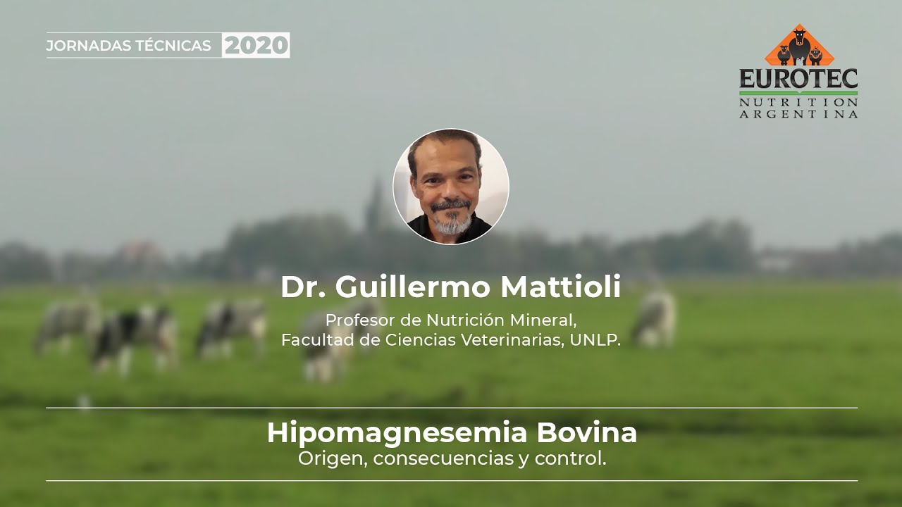 Guillermo Mattioli- Hipomagnesemia Bovina- Eurotec Nutrition Argentina