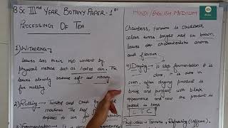 B.sc. 3Rd Year Botany Paper-1St Processing Of Tea