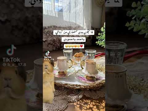 ١٩ مايو ٢٠٢٦