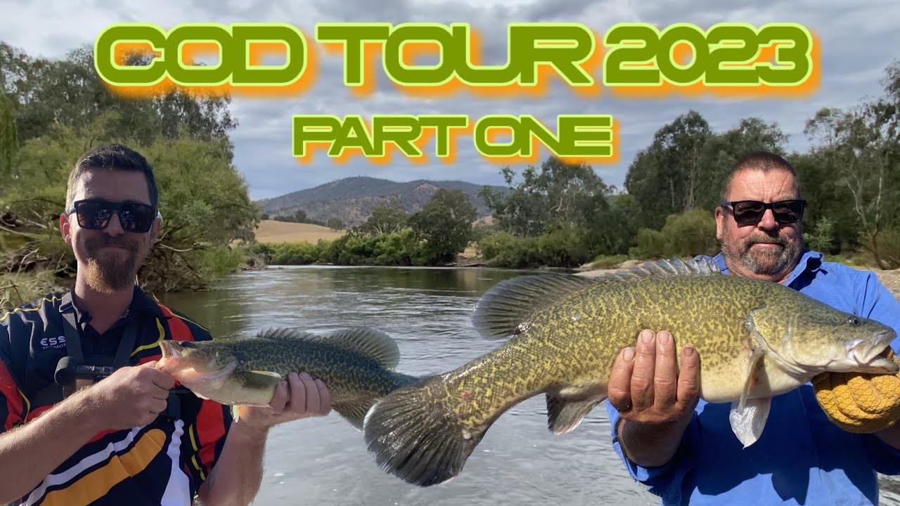2023 Murray Cod Fishing Tour Lure Fishing from Blowering Dam to Walwa