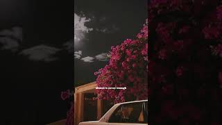 Ariana Grande - “Almost Is Never Enough “#shortvideo #lyrics #almostisneverenough #arianagrande