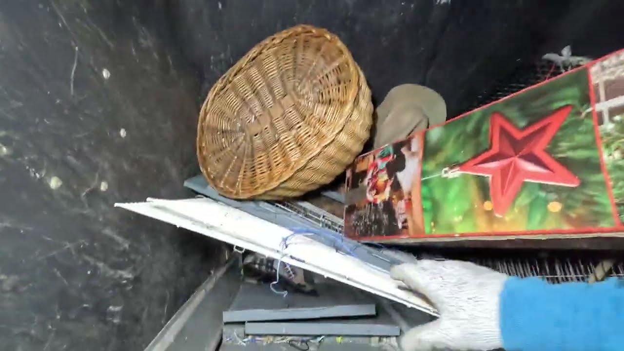 Wyrzucili do śmieci całe mieszkanie i piwnicę w Walentynki!SZOK!Znalazłem na fajansie wiele skarbów!