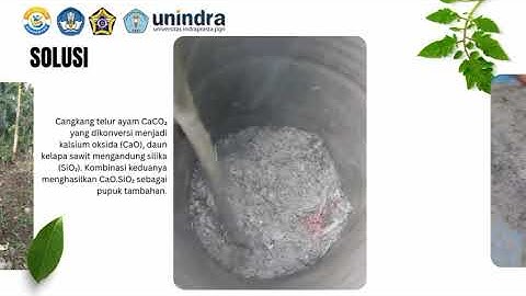 Video Penelitian Terapan-LP: Aplikasi Produk Pembakaran Cangkang Telur Ayam dan Daun Kelapa Sawit