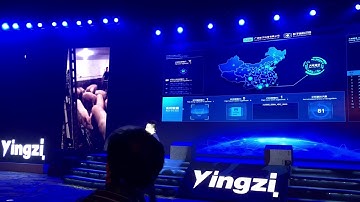 Yingzi Pig face recognition 2.0