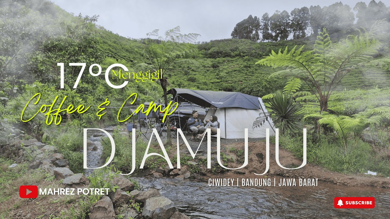 Camping Awal Tahun 2026 Suasana Syahdu 17°C di Djamuju Coffee & Camp Ciwidey | Bandung | Jawa Barat