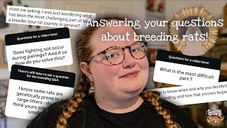 What is the hardest part of breeding rats?🐀 | Q&A