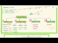 ANIMAL TISSUE | 9CBSE  , NERVOUS  TISSUE ,