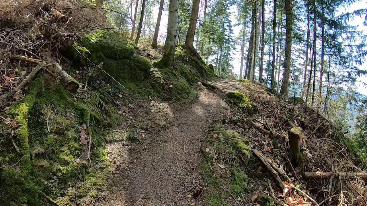 Wanderung von der Bertaquelle zum Feierabendfelsen, weiter auf Singletrail Rtg. Alt Hornberg