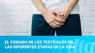 El cuidado de los testículos en las diferentes etapas de la vida