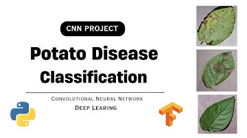 Potato Disease Classification Project | Convolutional Neural Network (CNN) | Deep Learning