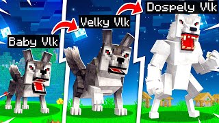 JAK SE MĚNIL ŽIVOT BABY VLKA V MINECRAFTU!🐺