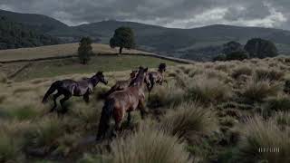 OpenAI Sora - Wild Horses in Galicia