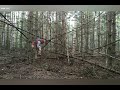 #73 Это делают Йети. Снежный человек. Леший. Bigfoot