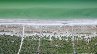 Florida Travel: Above the Beaches of Caladesi Island State Park