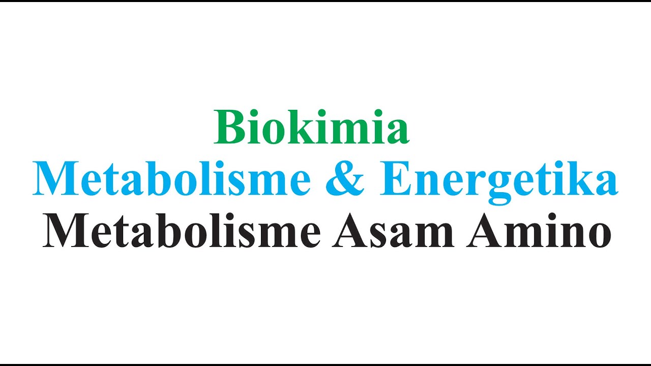 Biokimia - Metabolisme Asam Amino