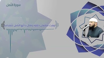 صلاة القيام ليلة 23 رمضان 1442 - الآيات من 61 سورة الفرقان إلى آخر سورة النمل