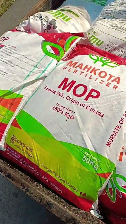 Pupuk KCL MAHKOTA MOP CANADA 50 kg