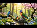 Peaceful Birdsong &amp; Gentle Piano 🌿 Quiet Garden Atmosphere 🍃 Focus Better &amp; Inner Peace