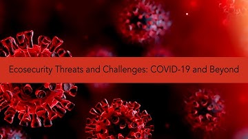The COVID Crisis: Ecosecurity Threats & Challenges