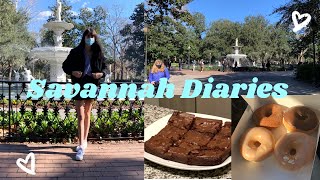 i moved to savannah, farmers market, brownie baking// savannah diaries vlog 1// Julia Lively