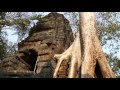 Journey Inside the Ghostly Temple of Trees