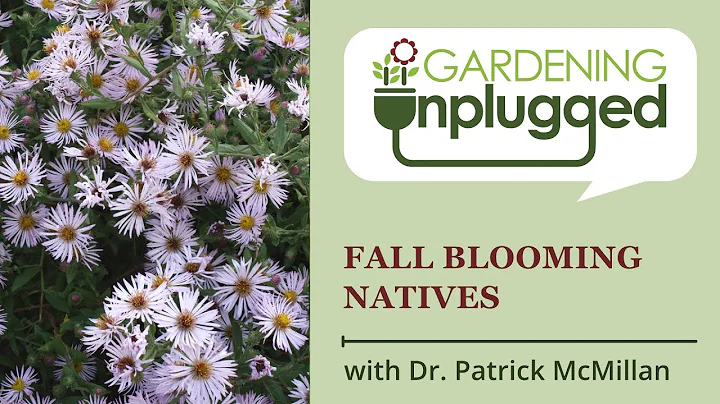 Gardening Unplugged - Fall blooming natives with D...