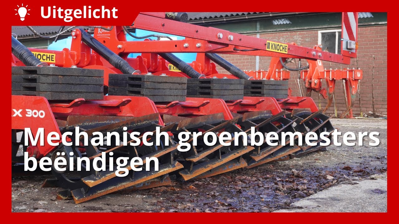 Uitgelicht | Hoe beëindig je groenbemesters mechanisch?