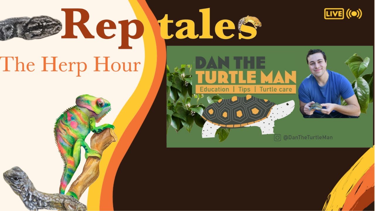 RepTales Volume 6 Special Guest: Dan The Turtle Man - YouTube